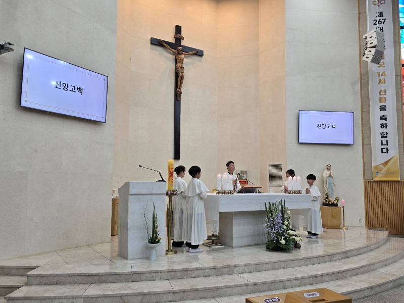 KakaoTalk_20250526_220704365.jpg