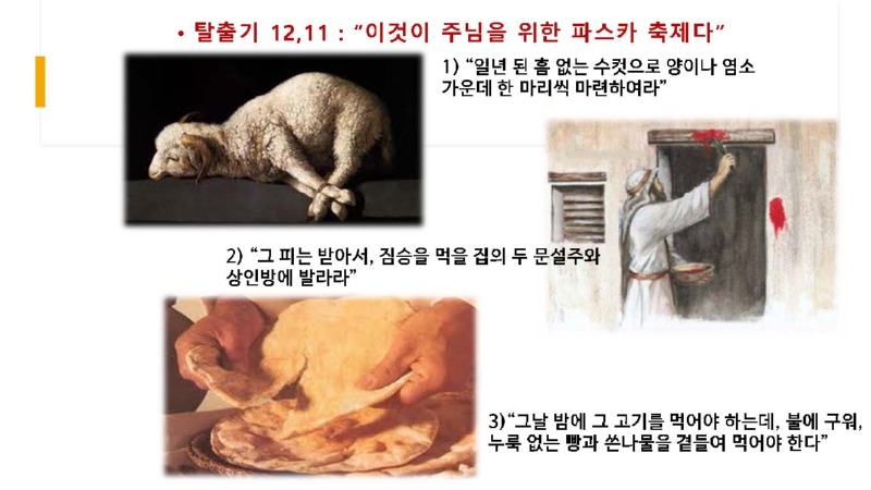 4강 성찬례 - 희생제사 (동백성마리아)_페이지_23.jpg